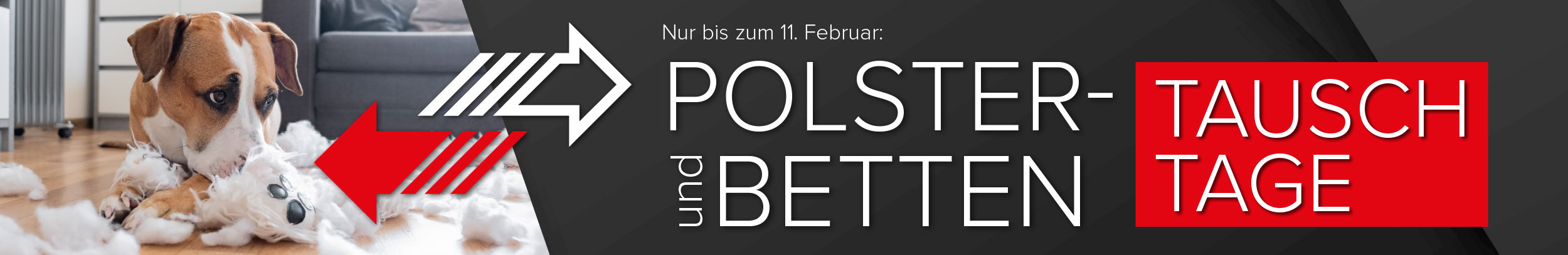 Polster und Bettentauschtage bei Möbel Hartwig nur bis zum 11. Februar